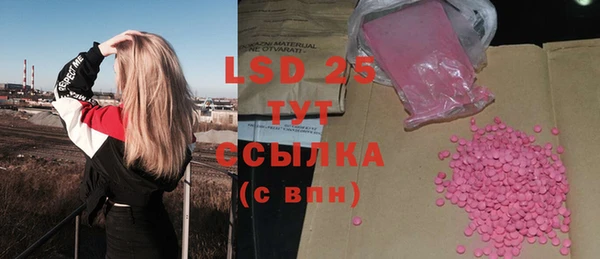 PSILOCYBIN Абаза