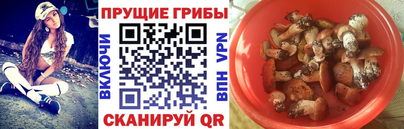 Псилоцибиновые грибы GOLDEN TEACHER kraken ССЫЛКА Шиханы